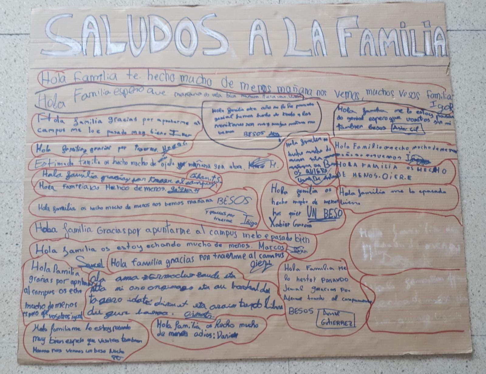 WhatsApp Image 2018-07-21 at 15.42.54